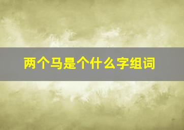 两个马是个什么字组词