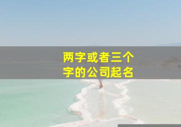 两字或者三个字的公司起名