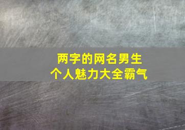 两字的网名男生个人魅力大全霸气