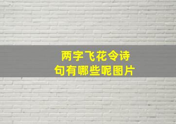 两字飞花令诗句有哪些呢图片