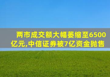 两市成交额大幅萎缩至6500亿元,中信证券被7亿资金抛售