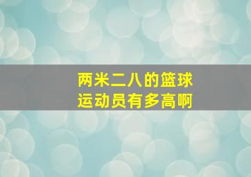 两米二八的篮球运动员有多高啊