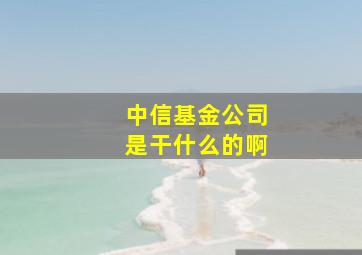 中信基金公司是干什么的啊