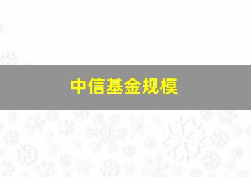 中信基金规模