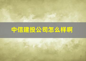 中信建投公司怎么样啊