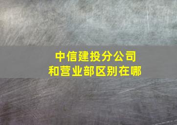 中信建投分公司和营业部区别在哪