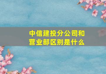 中信建投分公司和营业部区别是什么