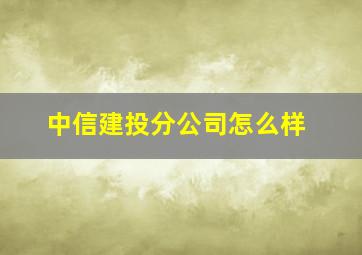 中信建投分公司怎么样