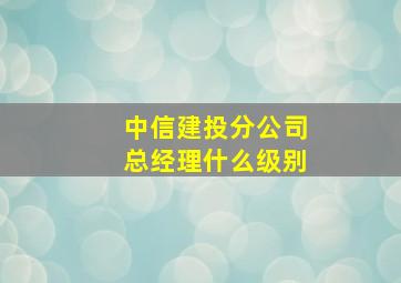 中信建投分公司总经理什么级别