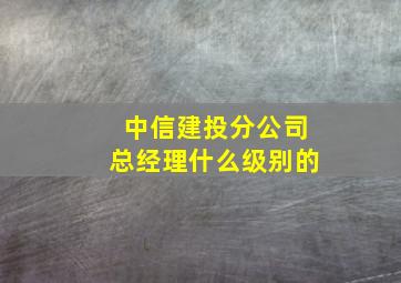 中信建投分公司总经理什么级别的