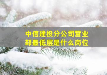 中信建投分公司营业部最低层是什么岗位