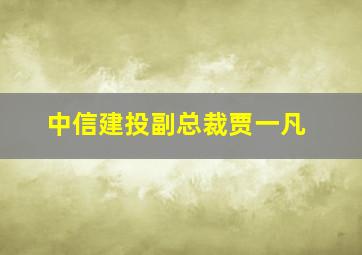 中信建投副总裁贾一凡