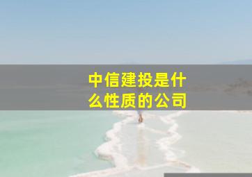 中信建投是什么性质的公司