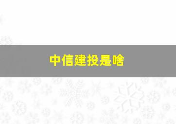 中信建投是啥