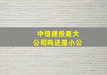 中信建投是大公司吗还是小公