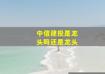 中信建投是龙头吗还是龙头