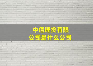 中信建投有限公司是什么公司