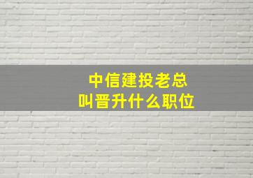 中信建投老总叫晋升什么职位