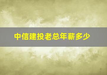 中信建投老总年薪多少