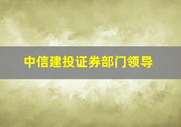 中信建投证券部门领导