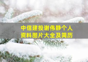 中信建投谢伟静个人资料图片大全及简历