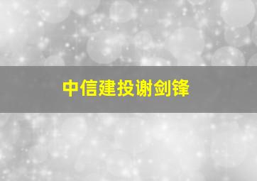 中信建投谢剑锋