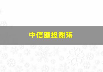 中信建投谢玮