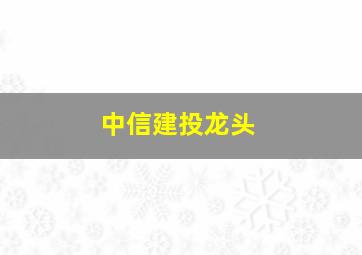 中信建投龙头