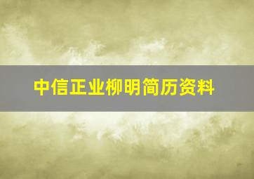 中信正业柳明简历资料