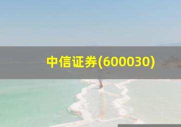 中信证券(600030)