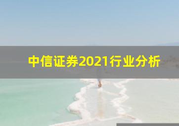 中信证券2021行业分析