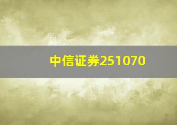 中信证券251070