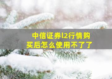 中信证券l2行情购买后怎么使用不了了