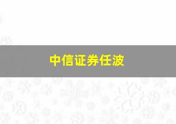 中信证券任波