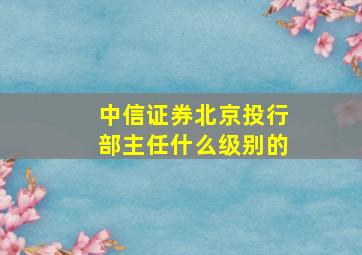 中信证券北京投行部主任什么级别的