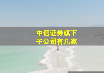 中信证券旗下子公司有几家