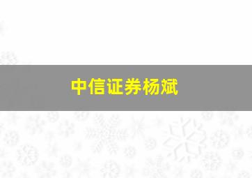 中信证券杨斌