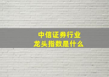 中信证券行业龙头指数是什么