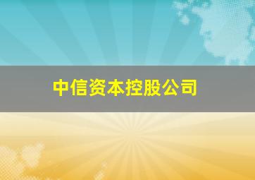 中信资本控股公司