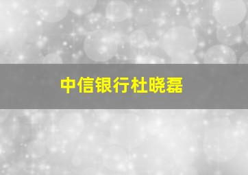 中信银行杜晓磊