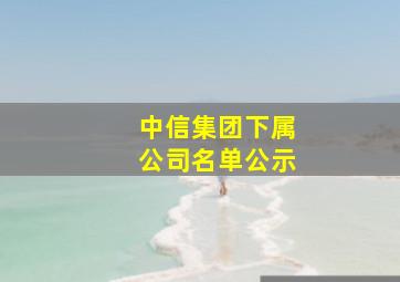 中信集团下属公司名单公示