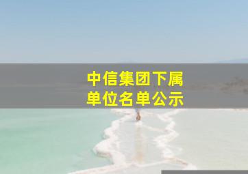 中信集团下属单位名单公示