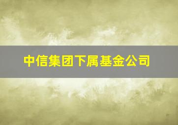 中信集团下属基金公司