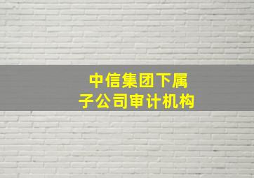 中信集团下属子公司审计机构