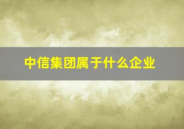 中信集团属于什么企业