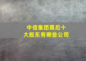 中信集团幕后十大股东有哪些公司