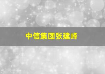 中信集团张建峰