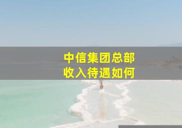 中信集团总部收入待遇如何