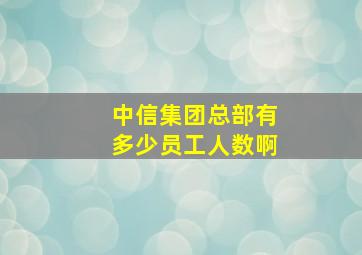 中信集团总部有多少员工人数啊