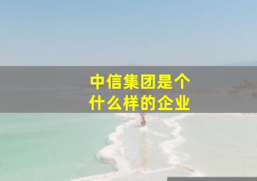 中信集团是个什么样的企业